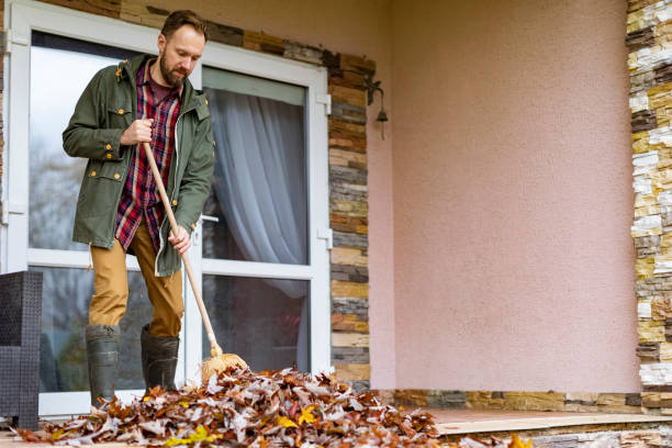 Yard Cleanup Services in Madison, MN