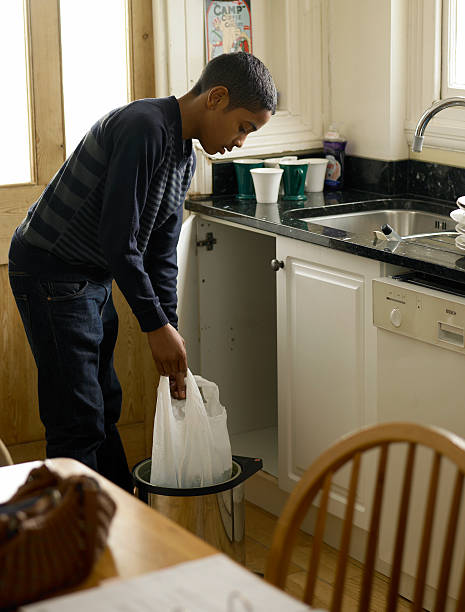 Best Electronics Removal Services  in Madison, MN